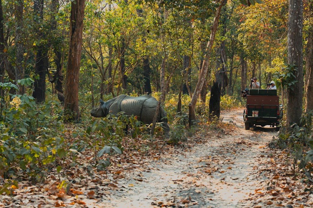 4x4 Safari Gypsy Expedition
